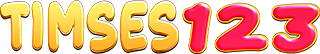   TIMSES123